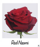 Red Naomi!
